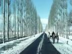 Srinagar-Pahalgam