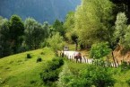 Srinagar to Pahalgam